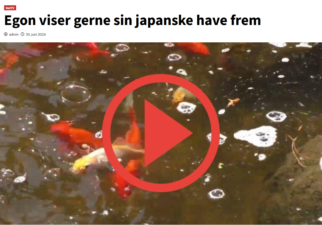 Egon viser sin japanske have frem på TV Vestjylland